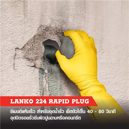 ซีเมนต์ปลั๊ก LANKO 224 1 กก._1