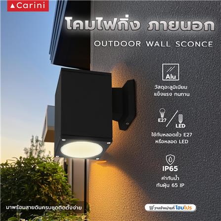 ไฟกิ่งภายนอก CARINI BO-G4101/1 สีดำ_4