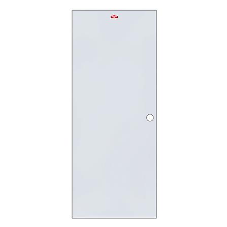 ประตูภายนอกเหล็ก เจาะลูกบิด PROFESSIONAL DOOR D1G 79.2x199.4 ซม. สีเทา_0