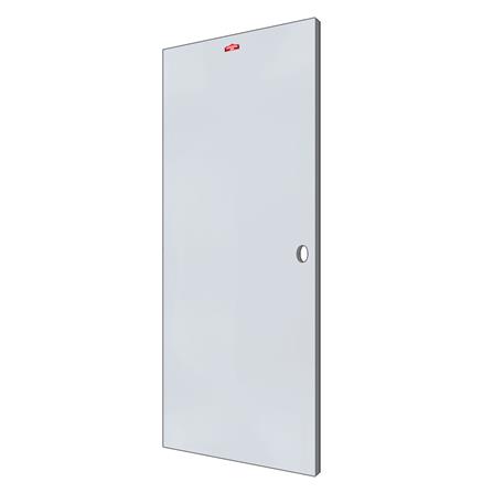 ประตูภายนอกเหล็ก เจาะลูกบิด PROFESSIONAL DOOR D1G 79.2x199.4 ซม. สีเทา_1