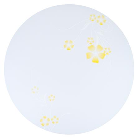 ไฟเพดาน LED CARINI TRY SS36 YAHUANG 15 นิ้ว 36 วัตต์ DAYLIGHT สีขาว_0