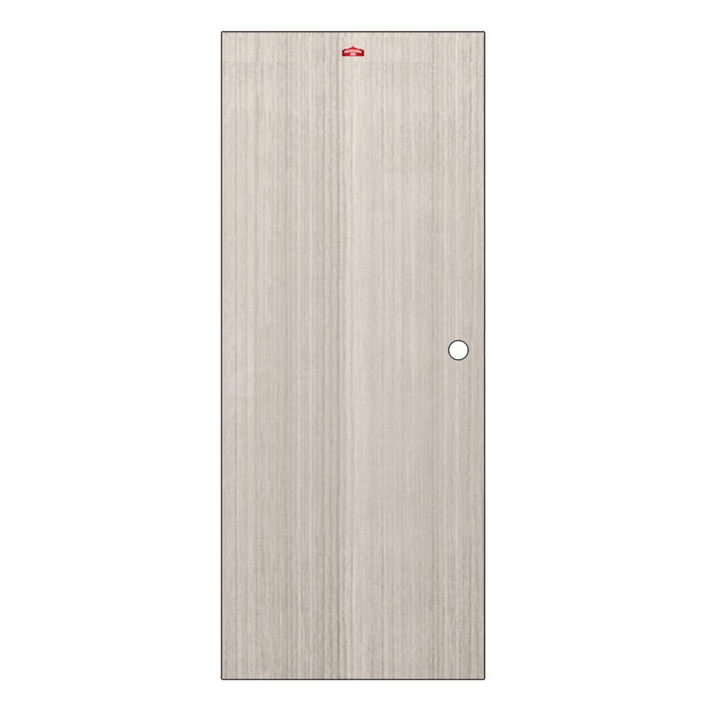 ประตูภายในเหล็ก เจาะลูกบิด D1-41 PROFESSIONAL DOOR 79.2x199.4 ซม. สีเทา