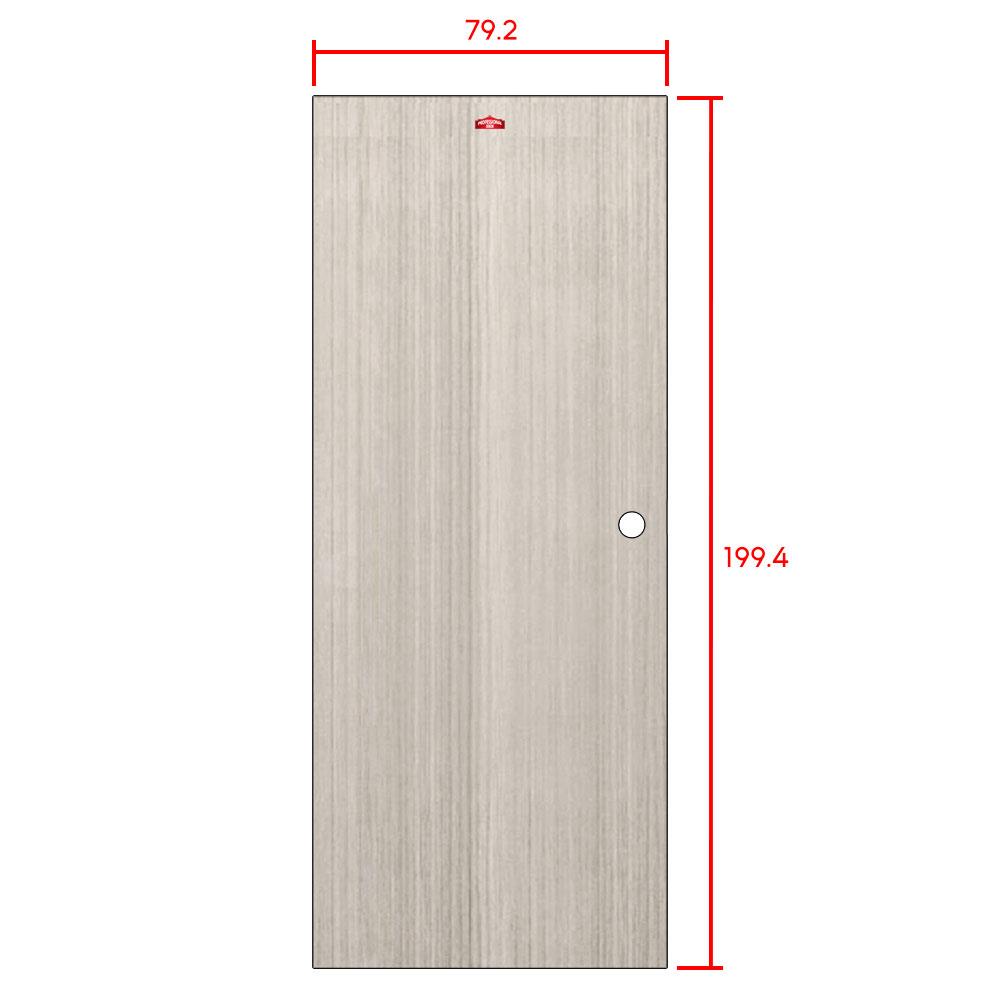 ประตูภายในเหล็ก เจาะลูกบิด D1-41 PROFESSIONAL DOOR 79.2x199.4 ซม. สีเทา
