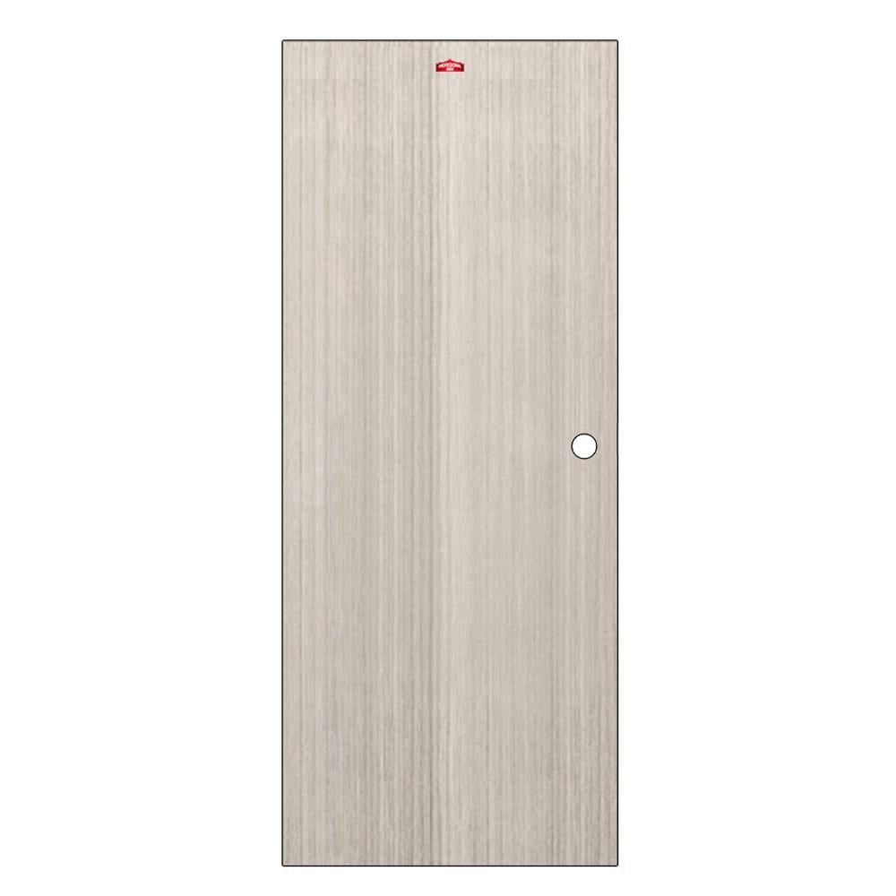 ประตูภายในเหล็ก เจาะลูกบิด D1-41 PROFESSIONAL DOOR 79.2x199.4 ซม. สีเทา