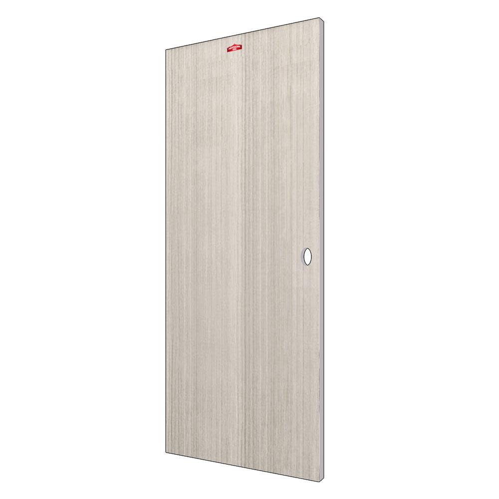 ประตูภายในเหล็ก เจาะลูกบิด D1-41 PROFESSIONAL DOOR 79.2x199.4 ซม. สีเทา