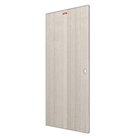 ประตูภายในเหล็ก เจาะลูกบิด D1-41 PROFESSIONAL DOOR 79.2x199.4 ซม. สีเทา_1