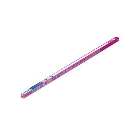 หลอด PHILIPS LED ECOFIT 765 T8 18 วัตต์ DAYLIGHT G13_3