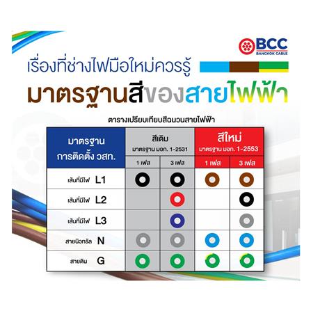 สายไฟ VCT BCC 3x4 ตร.มม 100 ม. สีดำ_2