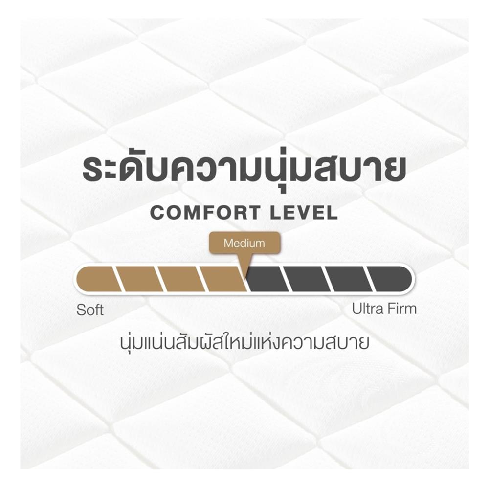 ที่นอน 6 ฟุต DUNLOPILLO TWILIGHT พร้อมหมอนหนุน 2 ชิ้น