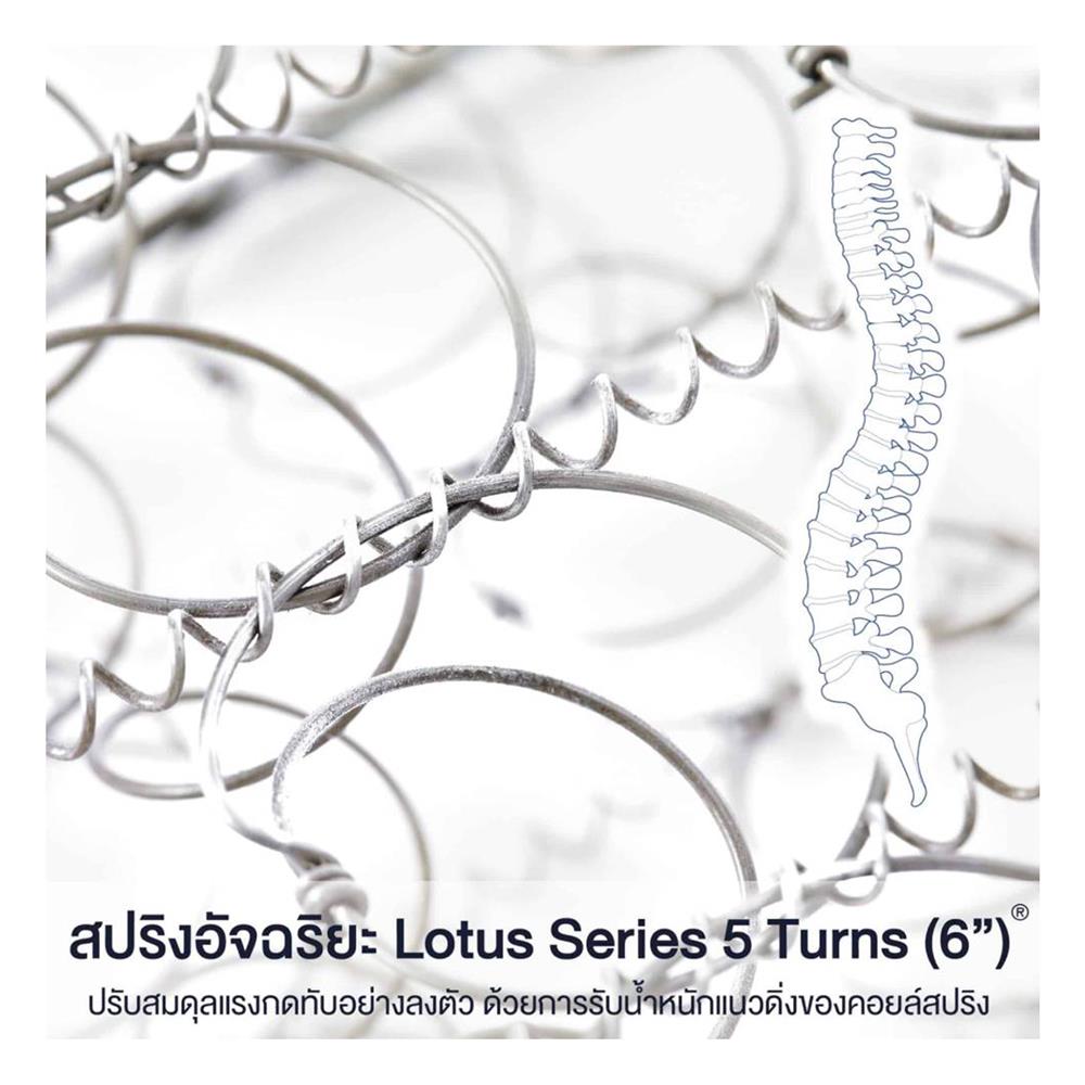 ที่นอน 6 ฟุต LOTUS NAUTILUS