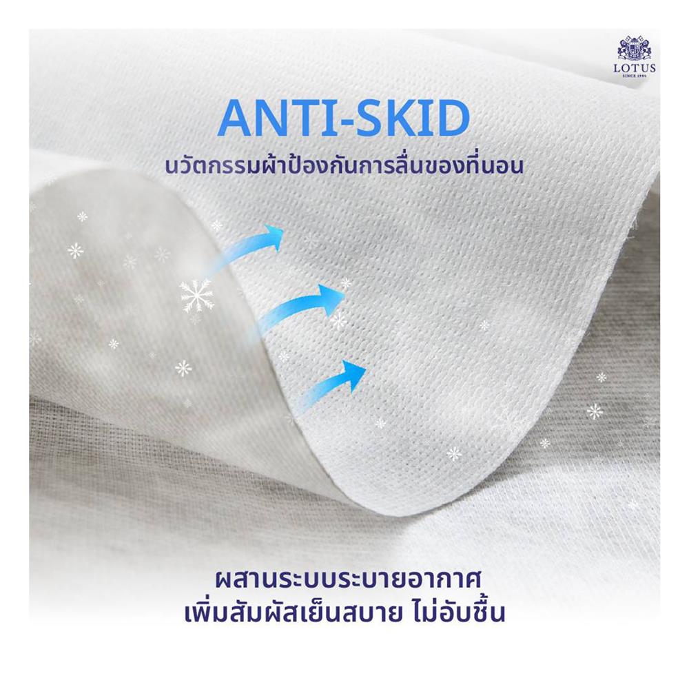 ที่นอน 5 ฟุต LOTUS NAUTILUS