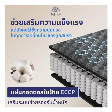ที่นอน 3.5 ฟุต LOTUS CASTLE_4