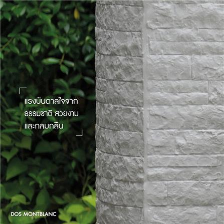 แท้งค์น้ำบนดิน DOS MONTBLCANC 900 ลิตร สีเทา_6