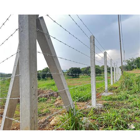 เสารั้ว 4 นิ้ว DSQUARE 2 เมตร_2