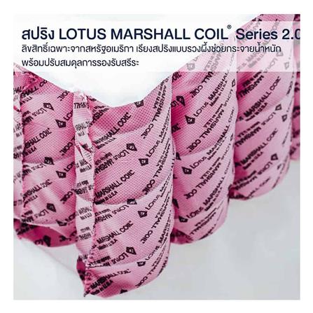 ที่นอน 5 ฟุต LOTUS NINA_4