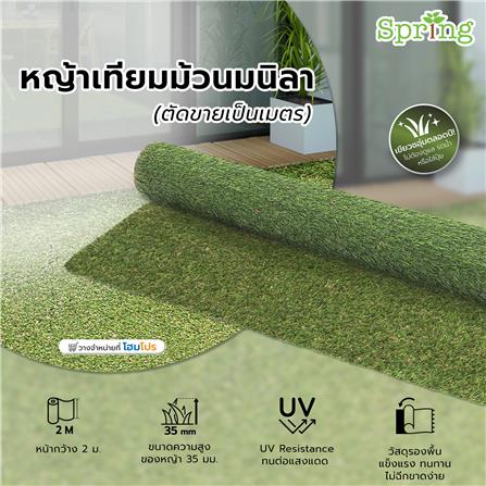 หญ้าเทียมม้วนมนิลา SPRING (U) SOFT 35 มม. 2x1 ม._5