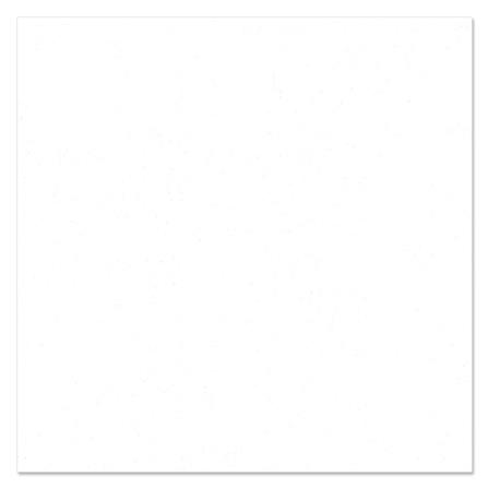 FLOOR TILE 16X16" DURAGRES DURA WHITE A 1M2