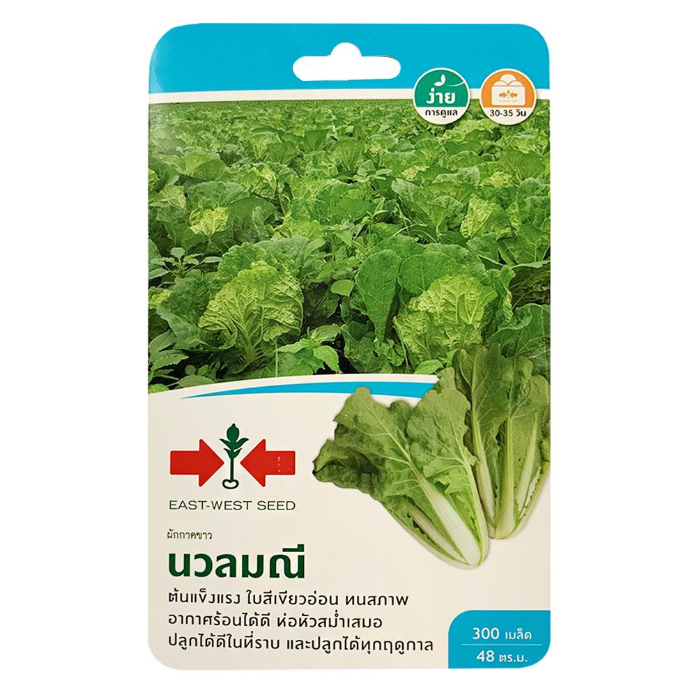 เมล็ดพันธุ์ผักกาดขาวปลี นวลมณี ศรแดง