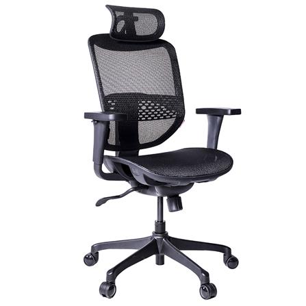 เก้าอี้เพื่อสุขภาพ ERGOTREND ERGO-JOY-PRO สีดำ_1