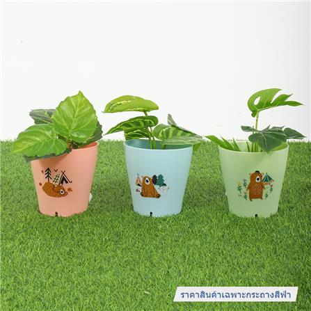 กระถางแขวนพลาสติก SPRING BEAR 13 ซม. สีฟ้า_5
