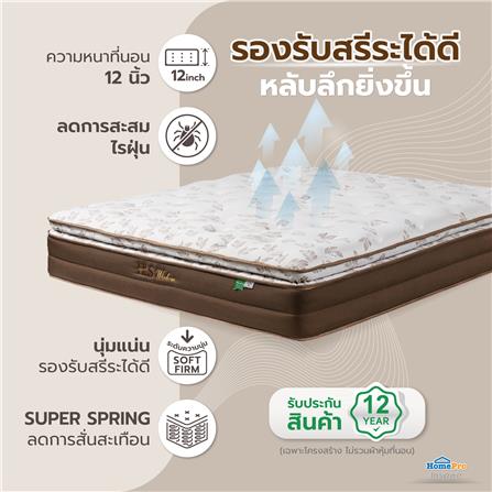ที่นอน 5 ฟุต HOME LIVING STYLE WISDOM_6
