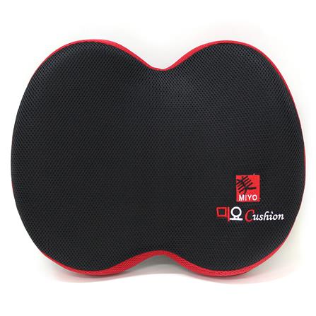 เบาะรองหลังเพื่อสุขภาพ ERGOTREND MIYO BACKREST สีดำ_1