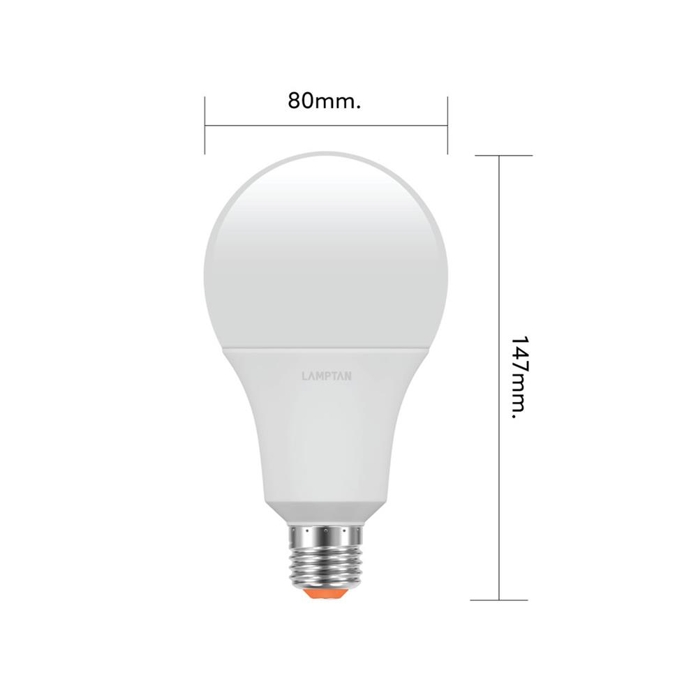 หลอด LED LAMPTAN A80 BULB GLOSS 22 วัตต์ E27 DAYLIGHT