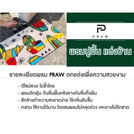 พรม PRAW ASTROPHYTUM 50X75 ซม. สีเทา/ดำ_3