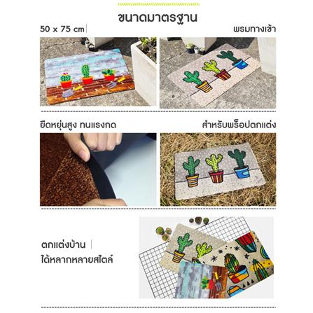 พรม PRAW ASTROPHYTUM 50X75 ซม. สีเทา/ดำ_7
