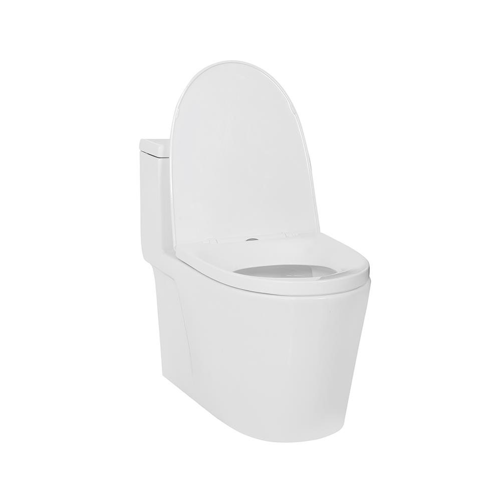 สุขภัณฑ์ 1 ชิ้น MOYA PLUS 015 6 ลิตร สีขาว (HTD)