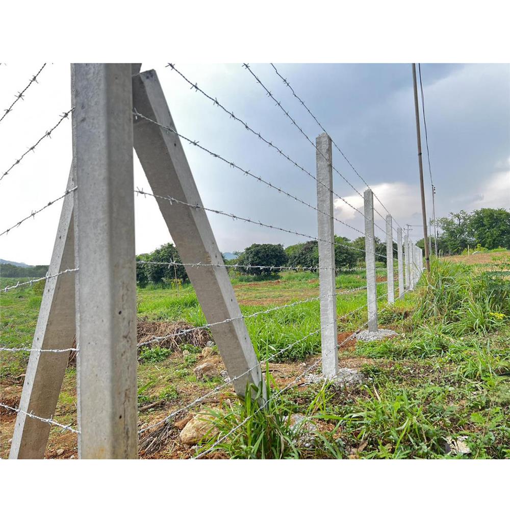 เสารั้ว 3 นิ้ว STP 2 เมตร