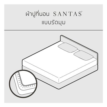 ชุดผ้าปูที่นอน 5 ฟุต 6 ชิ้น SANTAS ALLY สีเทา_4