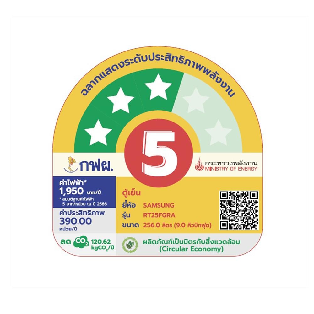 ตู้เย็น 2 ประตู SAMSUNG RT25FGRADB1/ST 9.0 คิว