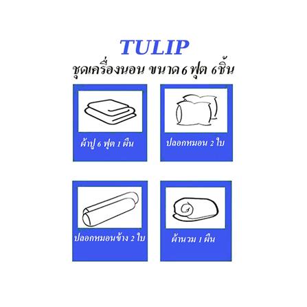 ชุดผ้าปูที่นอน 6 ฟุต (ชุด 6 ชิ้น) TULIP ALIEN REMIX 60204-DLC098_4