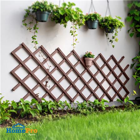 EXPANDING PLASTIC TRELLIS SPRING BROWN