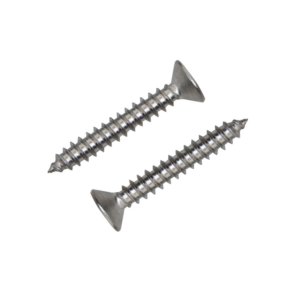 สกรูเกลียวปล่อย TF DEXZON 3x20 มม. (แพ็ก 25 ชิ้น)