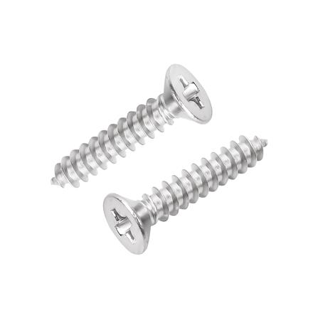 สกรูเกลียวปล่อย TF DEXZON 3x15 มม. (แพ็ก 25 ชิ้น)_0