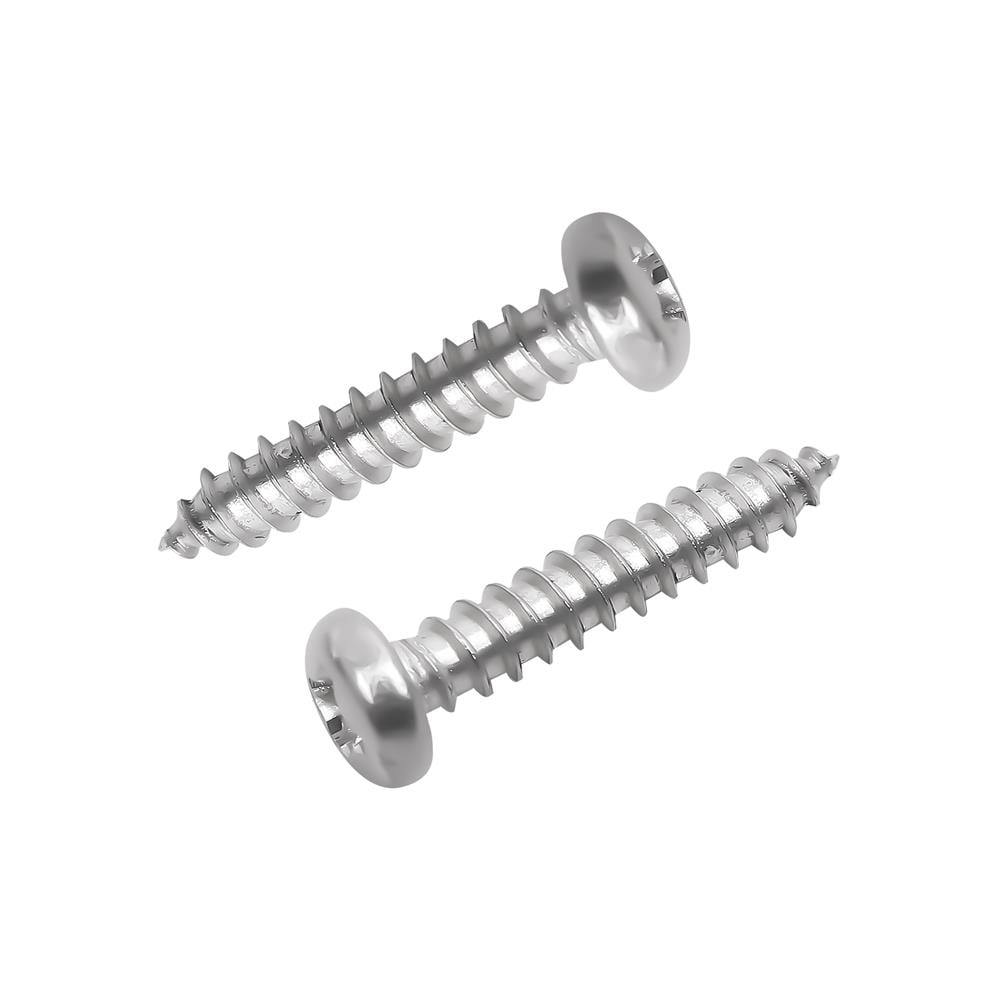 สกรูเกลียวปล่อย TP DEXZON 3x15 มม. (แพ็ก 25 ชิ้น)