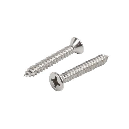 สกรูเกลียวปล่อย TF DEXZON 12X1-1/2 นิ้ว แพ็ก 10 ชิ้น_0