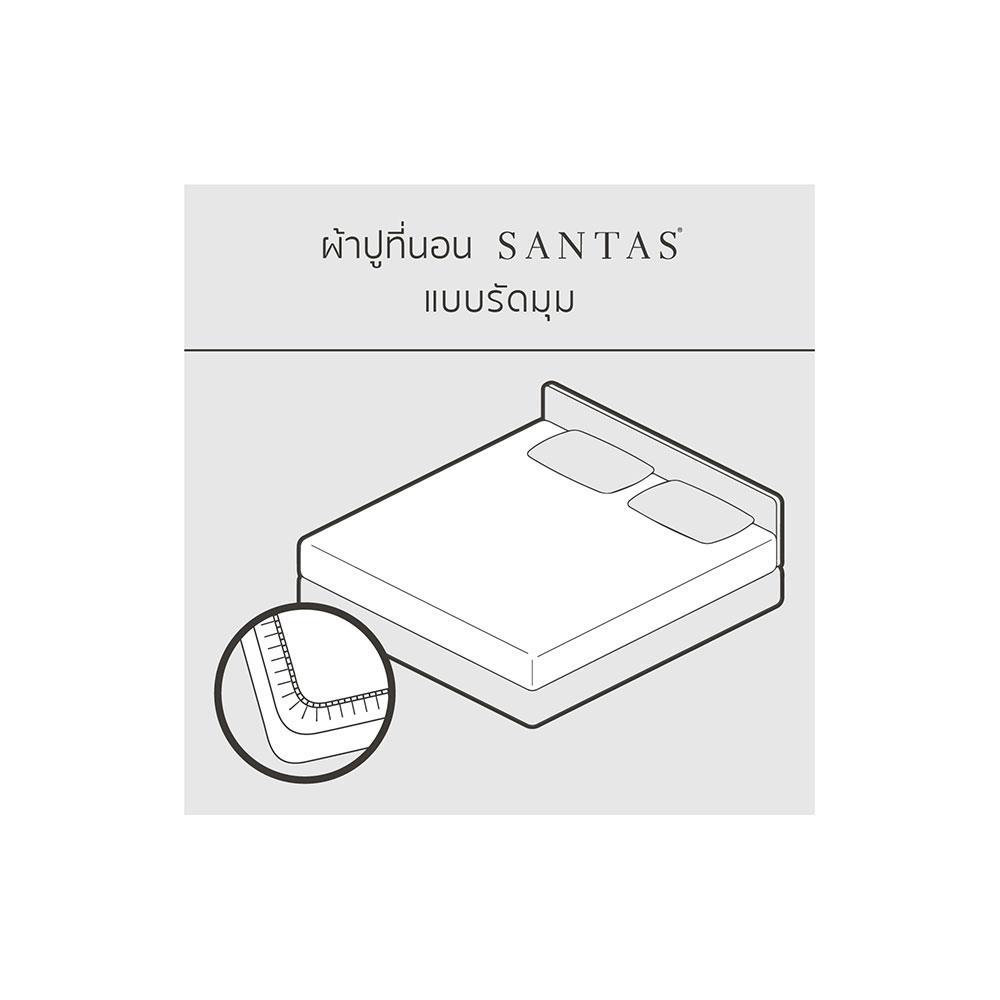 ชุดผ้าปูที่นอน 5 ฟุต 5 ชิ้น SANTAS OVERLAY สีเทา