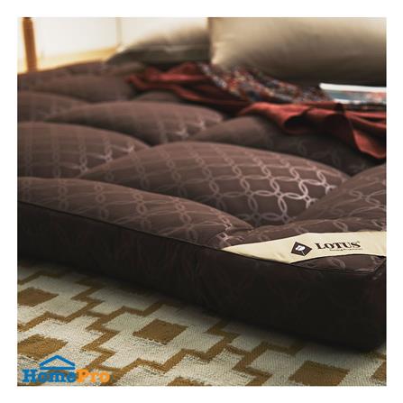 แผ่นรองนอน 6 ฟุต LOTUS AYAME DARK BROWN_4