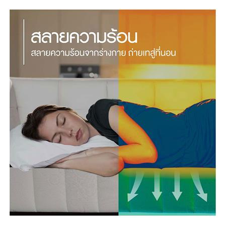 ที่นอน 3.5 ฟุต LOTUS I-LATEX III (พร้อมหมอนหนุน 1 ชิ้น)_7