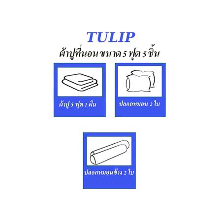 ชุดผ้าปูที่นอน 5 ฟุต 5 ชิ้น TULIP IN THE MOMENT 60050-DL401_4