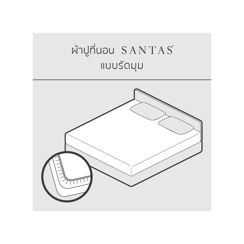 ชุดผ้าปูที่นอน 5 ฟุต 5 ชิ้น SANTAS PENDANT OS