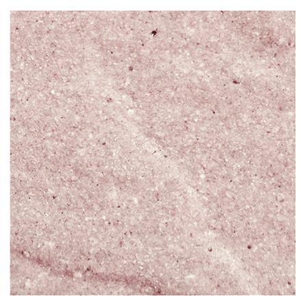 กระเบื้อง 4x4 นิ้ว KENZAI นาริตะ พิงค์ 60P_0