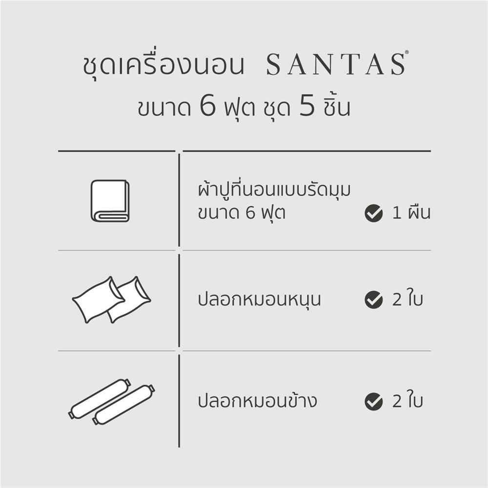 ชุดผ้าปูที่นอน 6 ฟุต 5 ชิ้น SANTAS AMBIT GN