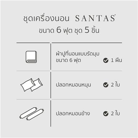 ชุดผ้าปูที่นอน 6 ฟุต 5 ชิ้น SANTAS AMBIT GN_6