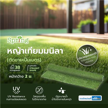 หญ้าเทียมมนิลา ความสูงหญ้า 38 มม. หน้ากว้าง 2 ม. SPRING (ตัดขายเป็นเมตร)_5