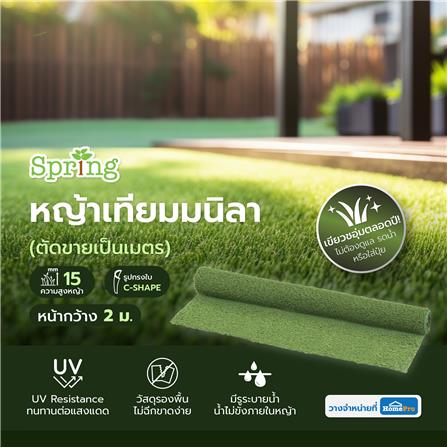 หญ้าเทียมมนิลา ความสูงหญ้า 15 มม. หน้ากว้าง 2 ม. SPRING (ตัดขายเป็นเมตร)_4