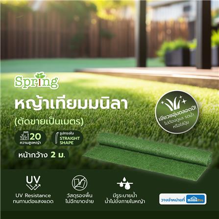 หญ้าเทียมมนิลา ความสูงหญ้า 20 มม. หน้ากว้าง 2 ม. SPRING (ตัดขายเป็นเมตร)_3